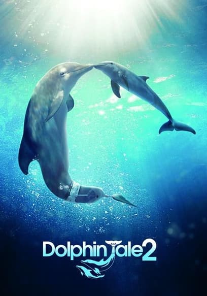 Dolphin Tale 2