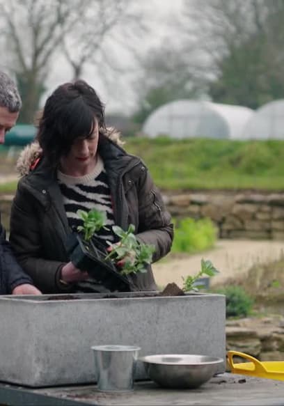 S03:E01 - Broad Beans poster