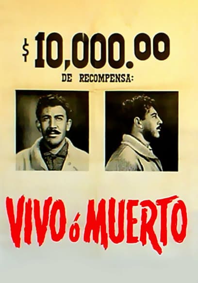 Vivo o muerto poster