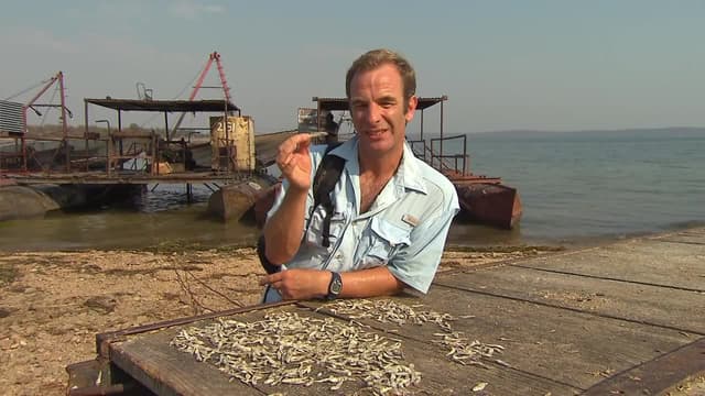 S03:E01 - Zimbabwe and Zambia