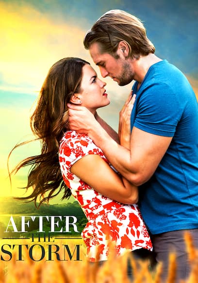 After the Storm (Español)