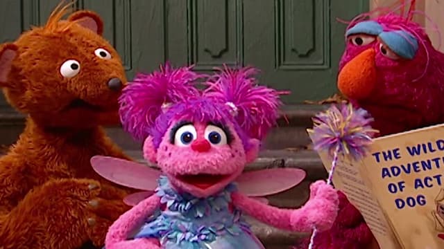 T38:C03 - S38:E03 - Dog Escapes From Abby's Book