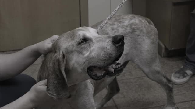 S18:E03 - Mother of Chaos