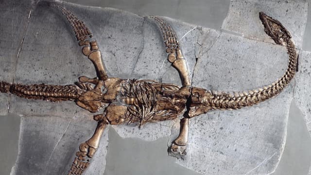 S04:E01 - The Loch Ness Monster