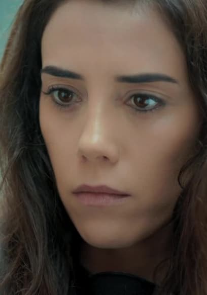 Affiche de S01:E18 - Aliados