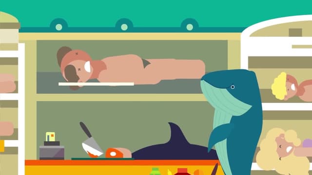 S01:E13 - What if a Whale Swallowed You? / Most Venomous Animals in the World