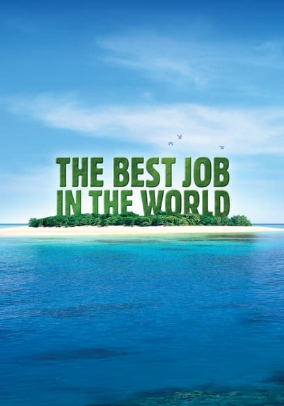 The Best Job in the World poster