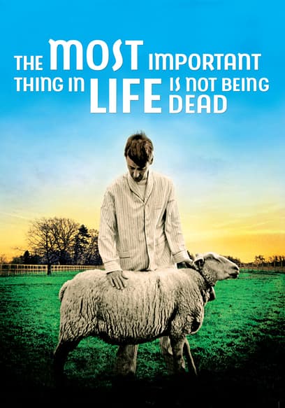 The Most Important Thing in Life Is Not Being Dead poster