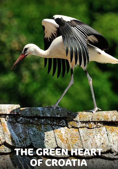 The Green Heart of Croatia
