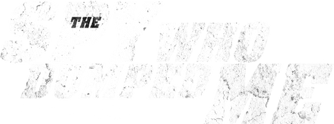 The Spy Who Dumped Me (Español)