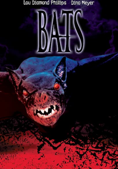 Bats poster