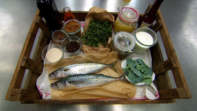 S11:E32 - North East Fish