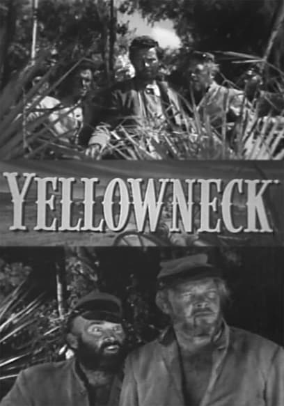 Yellowneck