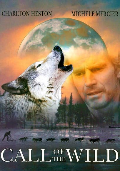 Call of the Wild