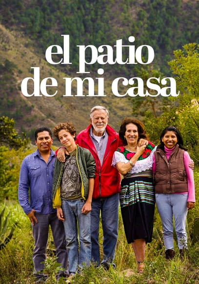 Póster de El patio de mi casa