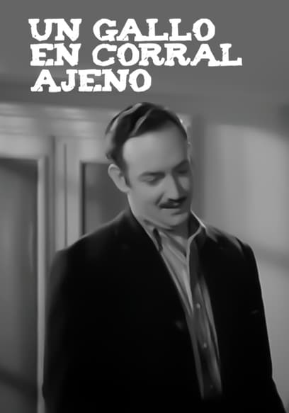 Un Gallo en Corral Ajeno