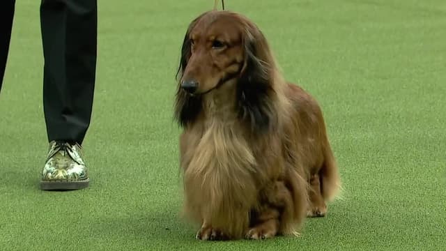 S2019:E02 - 2019: Day 1