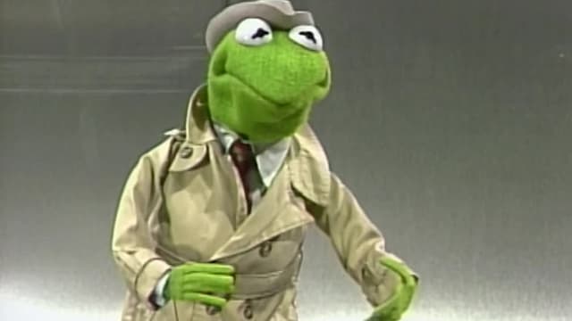 S20:E105 - Snuffleupagus Picnic in Central Park