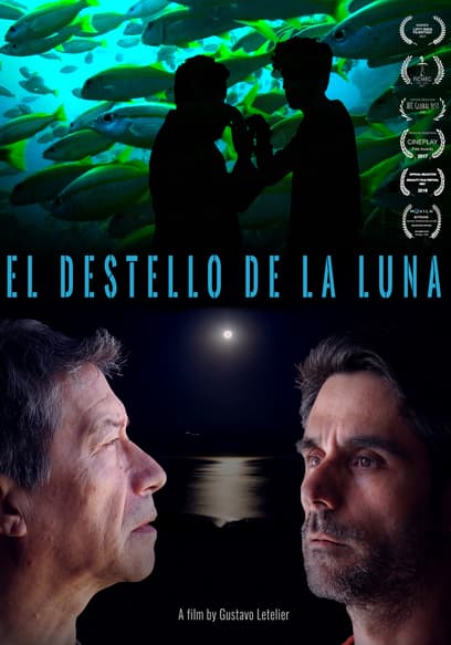 El destello de la luna