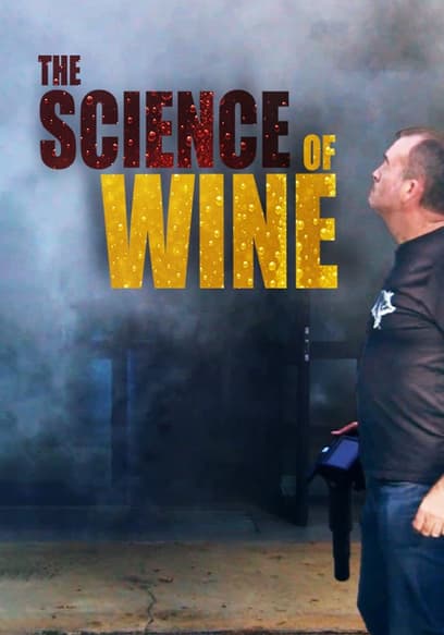 S01:E03 - Is Malolactic Fermentation Necessary for the Long Aging of Wines?