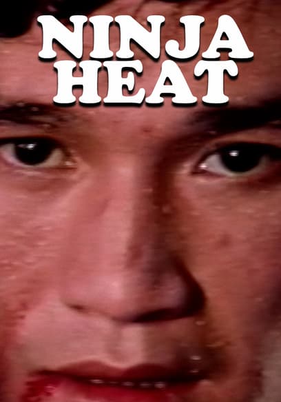 Ninja Heat