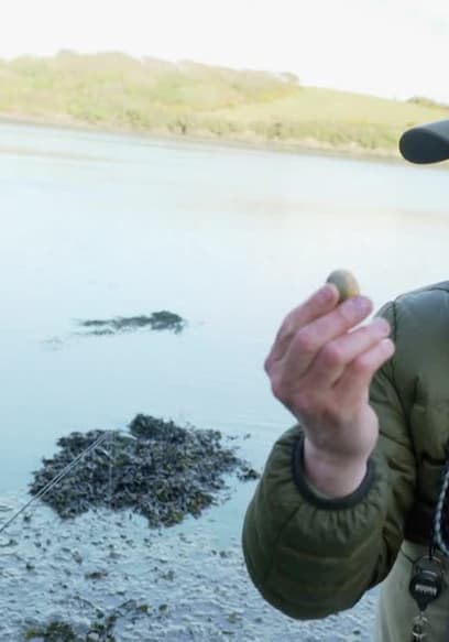 S01:E11 - Devon Coastal Forage poster