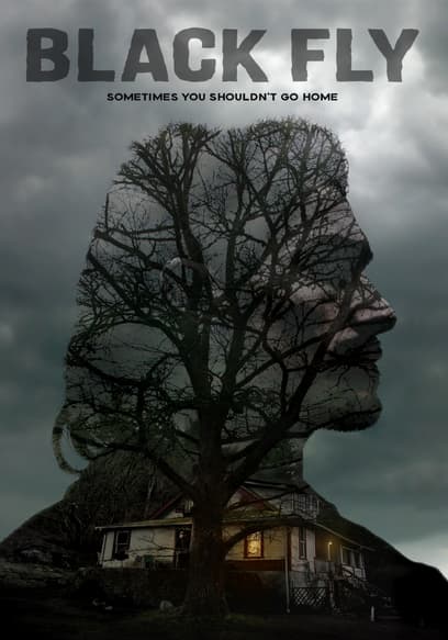 Black Fly