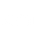 ION Plus