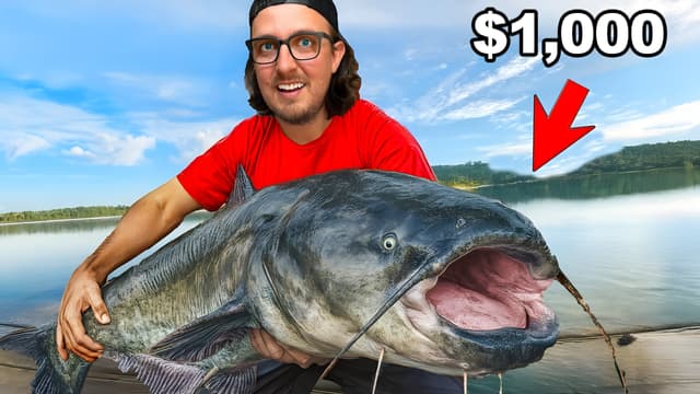 S01:E01 - Cat Fish Tournament