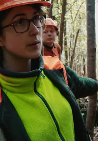 S01:E03 - Tassie Logger poster