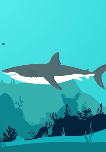 S01:E02 - What's the Real Reason the Megalodon Went Extinct? poster