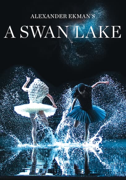 A Swan Lake poster