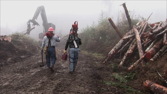 S01:E08 - Loggers Under Fire