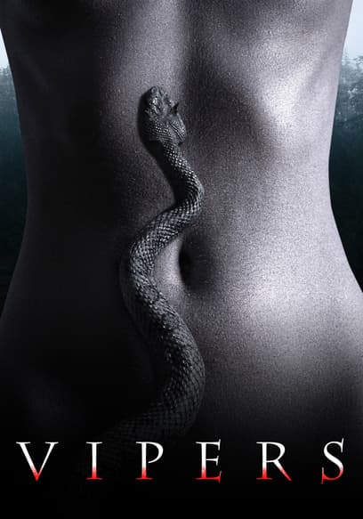 Vipers