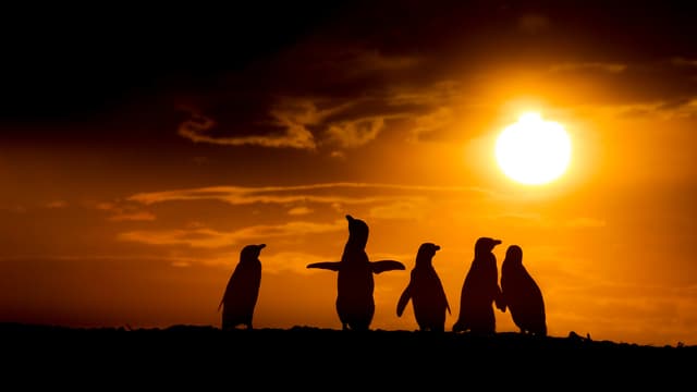 S01:E04 - The Desert Coast