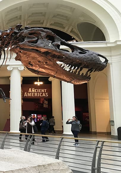 S01:E02 - The Field Museum of Natural History poster
