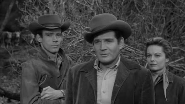 S02:E21 - Cattle and Canes