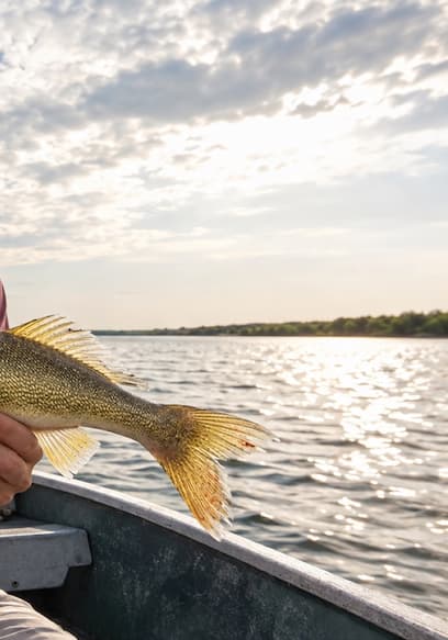 S01:E17 - Spicy HUGE Crawfish and Cajun Walleye Catch And Cook! poster