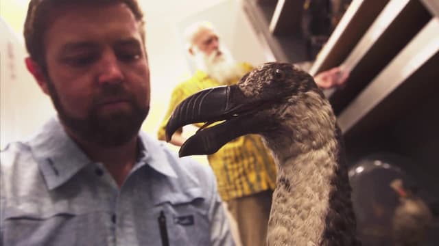 S01:E08 - The Dodo of the North