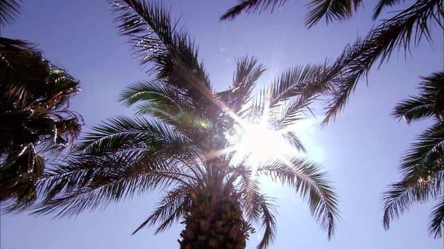 T04:C06 - S04:E06 - David & Carol