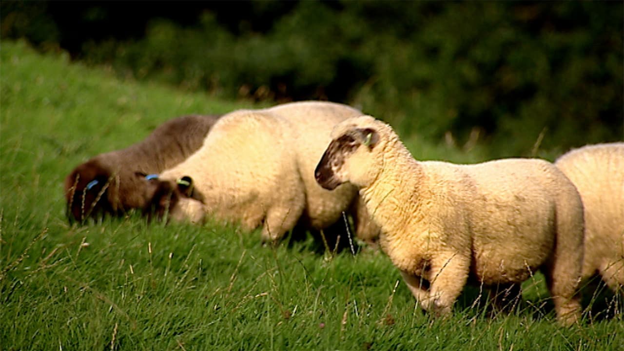 Watch River Cottage: Autumn