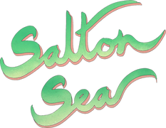 Salton Sea