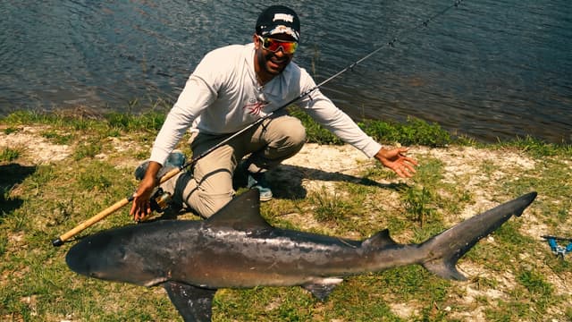 S01:E04 - Freshwater Bull Shark