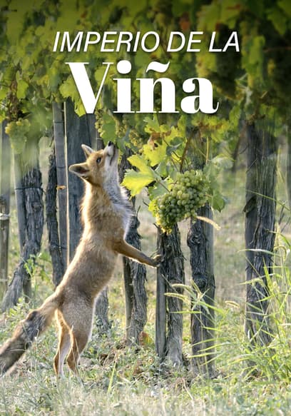Imperio De La Viña (Doblado)