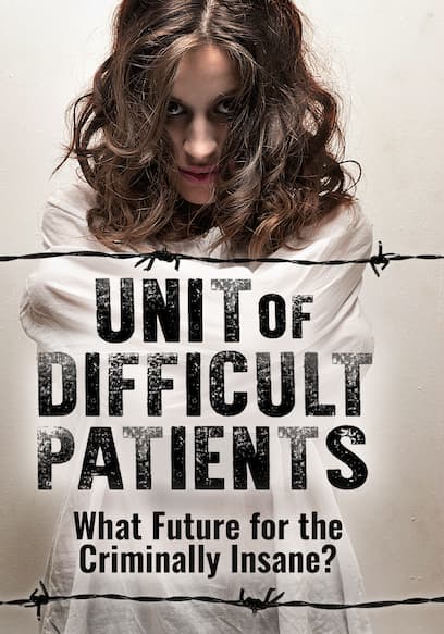 Unit of Difficult Patients: What Future for the Criminally Insane?
