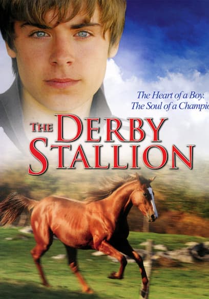 The Derby Stallion
