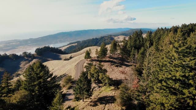 S08:E03 - Peace Love and Murder in Marin