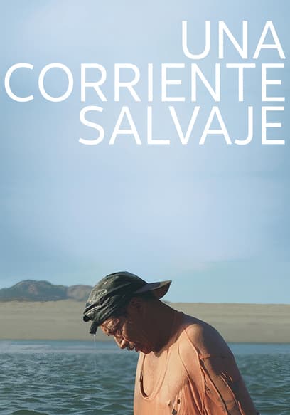 Una corriente salvaje