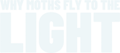 Why Moths Fly to the Light?
