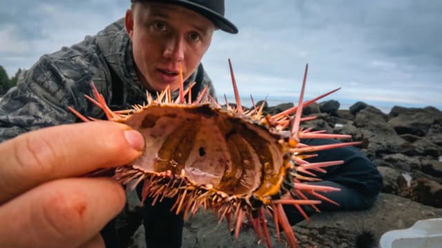 S01:E10 - I Went Diving for Exotic Seafood